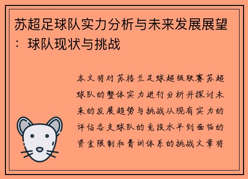 苏超足球队实力分析与未来发展展望：球队现状与挑战