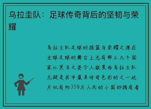 乌拉圭队：足球传奇背后的坚韧与荣耀