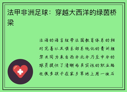 法甲非洲足球：穿越大西洋的绿茵桥梁