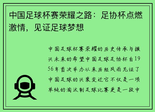中国足球杯赛荣耀之路：足协杯点燃激情，见证足球梦想