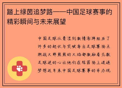 踏上绿茵追梦路——中国足球赛事的精彩瞬间与未来展望